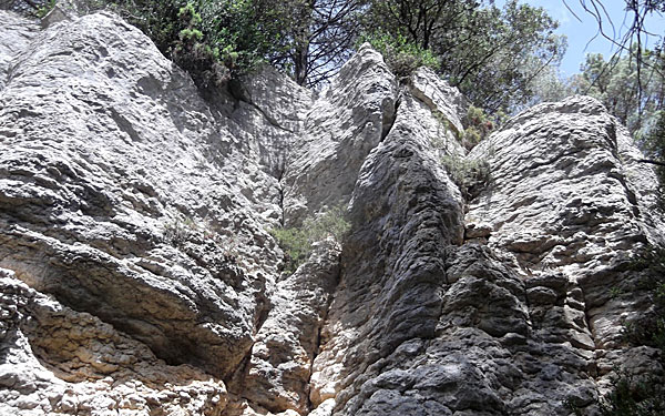 Escalada Rocòdrom Moià