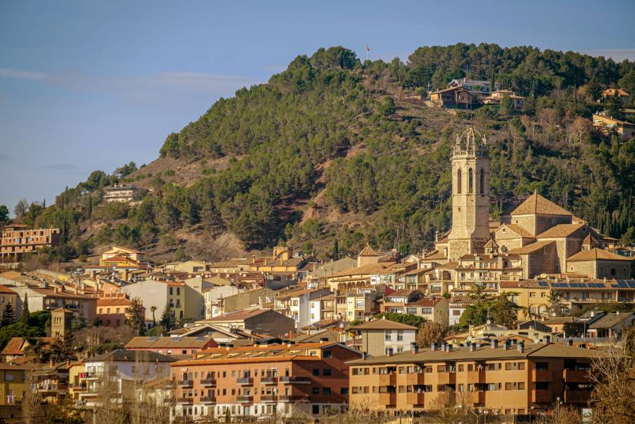 moianès